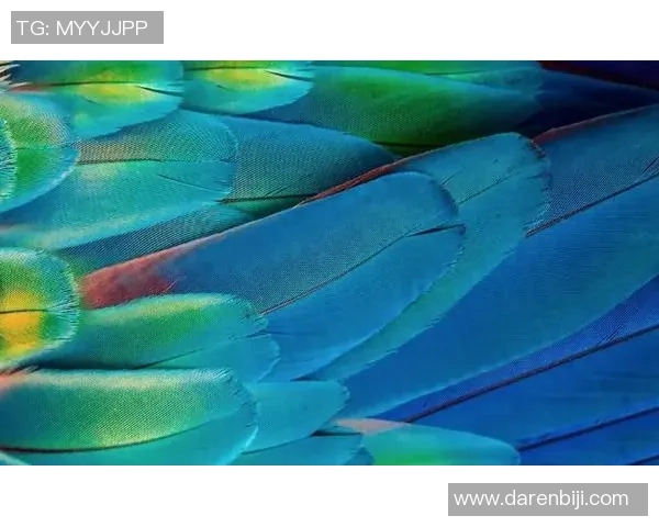 像倒水般流畅的控球艺术从水流之韵看足球球星的灵动之美 像倒水般流畅的控球艺术从水流之韵看足球球星的灵动之美